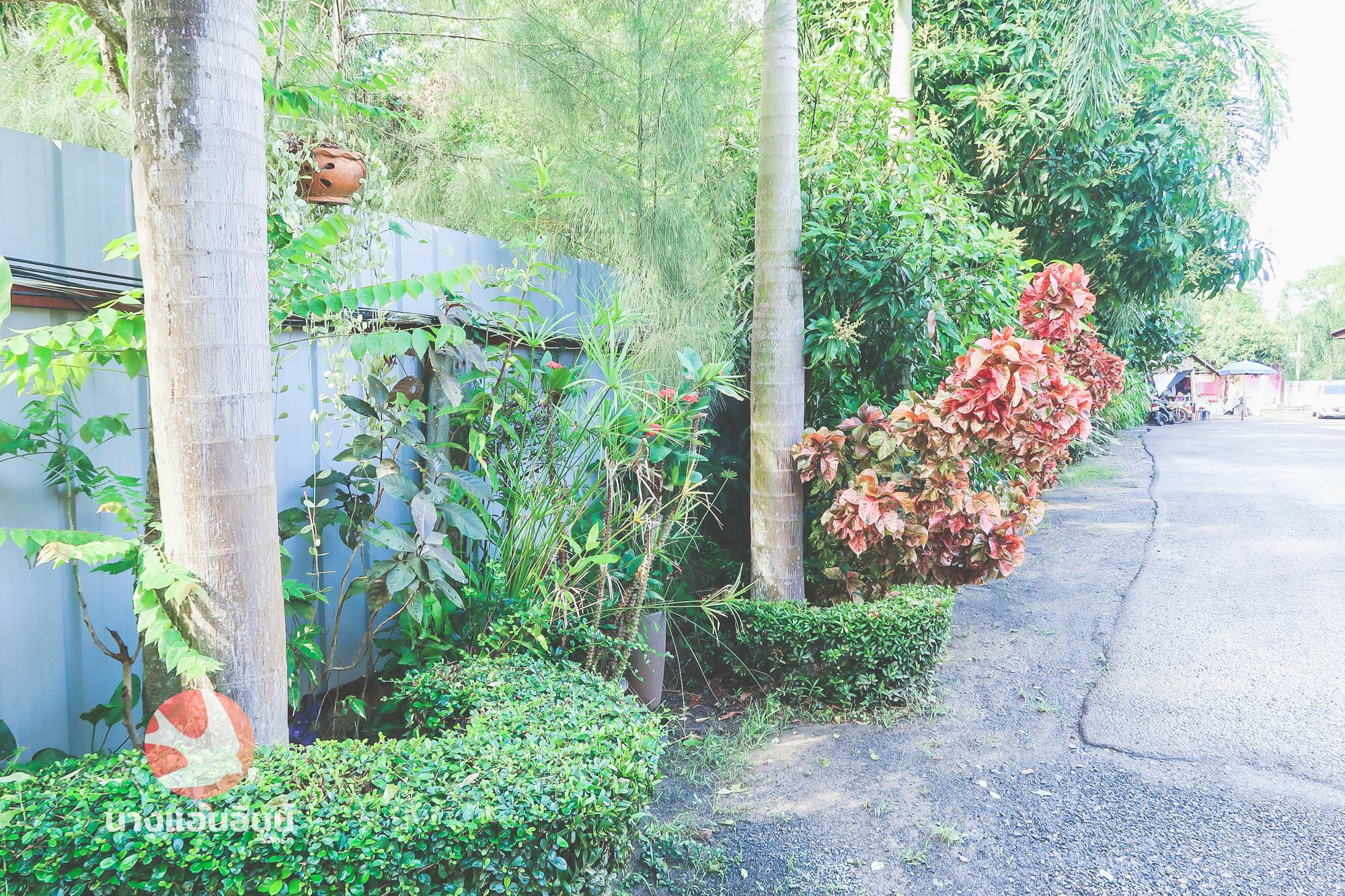 Nang-An Inn Resort Surat Thani Exterior foto